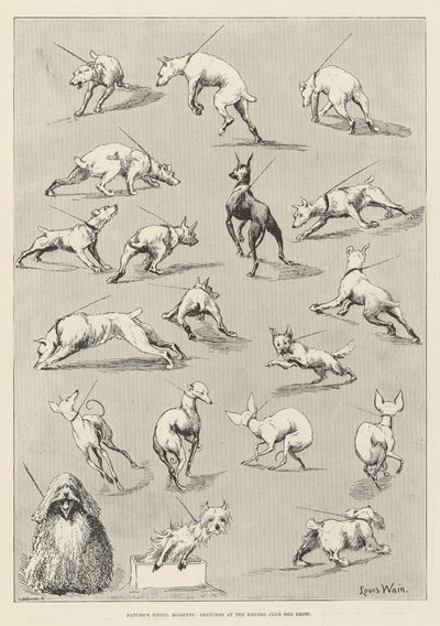 Nature&39;s Fitful Moments、Sketches at the Kennel Club Dog Show 作： Louis Wain